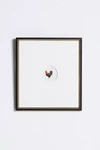 Wendover Art Group Fancy Rooster 1 Wall Art