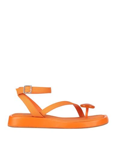 Gia Rhw Gia / Rhw Woman Thong Sandal Orange Size 11 Textile Fibers