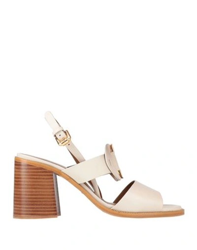 See By Chloé Woman Sandals Light Grey Size 8 Calfskin In Grey