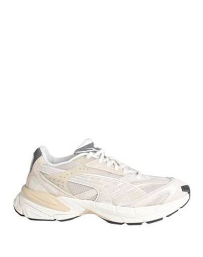 Puma Man Sneakers Beige Size 9 Textile Fibers