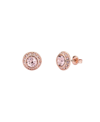 Ted Baker Soletia: Solitaire Sparkle Crystal Stud Earrings In Rose Gold