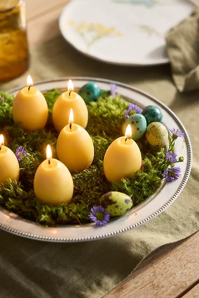 Terrain Egg Candles, Set Of 6 In Yellow