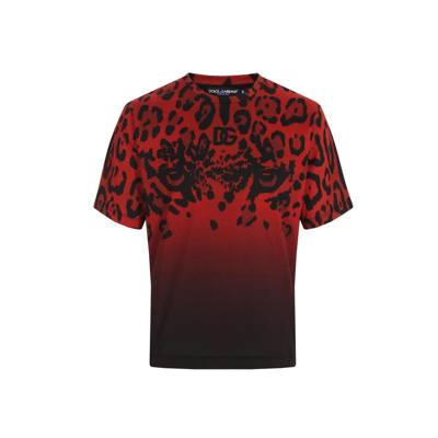 Dolce & Gabbana Animalier T-shirt In Red