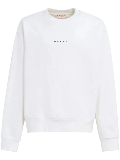 Marni Sweaters In Natural White