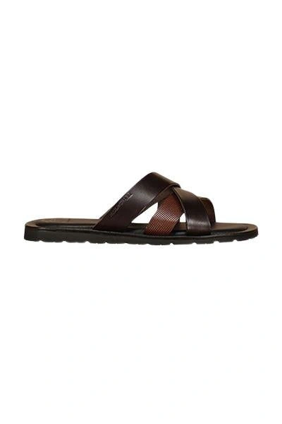 Paul and shark flip flops sale