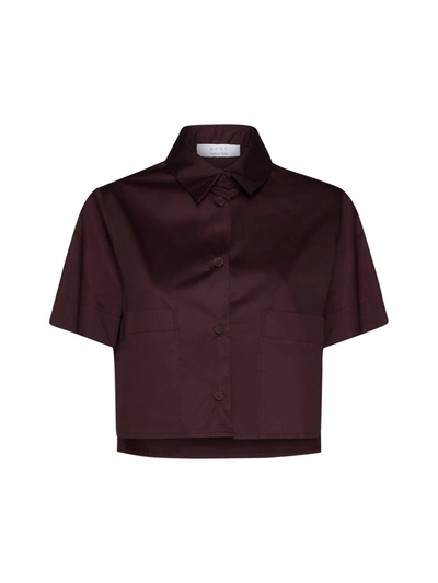 Kaos Collection Shirts In Bordeaux