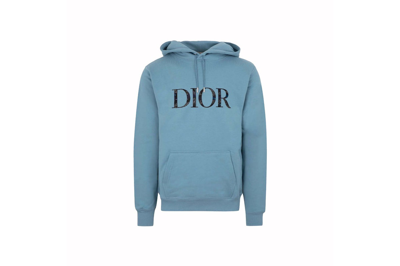 Pre-owned Dior X Peter Doig Logo Hoodie Light Blue