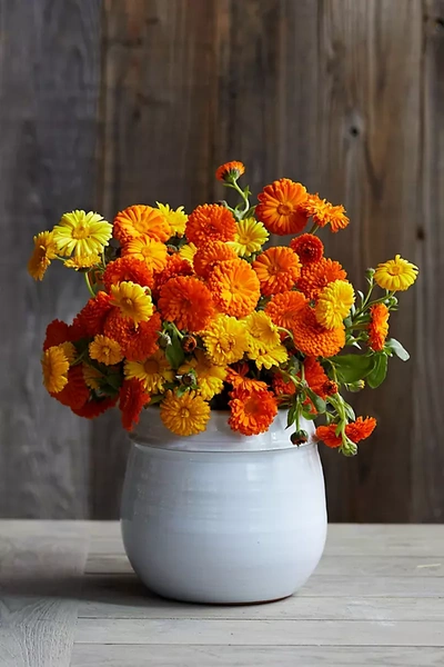 Terrain Fresh Calendula Bunch In Multi