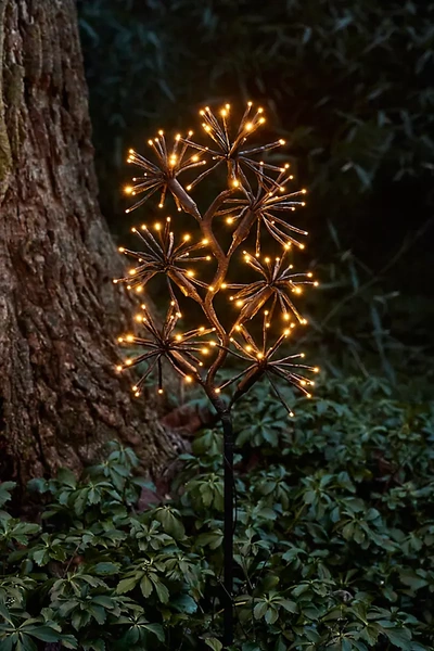 Terrain Solar Led Starburst Light Branch In Brown