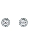 TED BAKER SOLETIA SOLITAIRE CRYSTAL HALO STUD EARRINGS