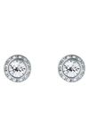 Ted Baker Soletia Solitaire Crystal Halo Stud Earrings In Silver Tone Clear Crystal