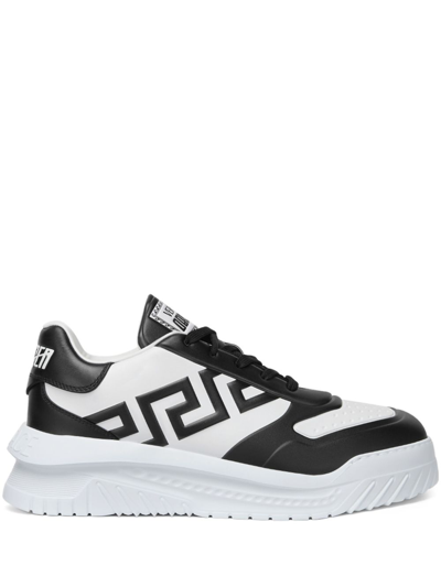 Versace Greca Odissea Sneakers In Multi-colored