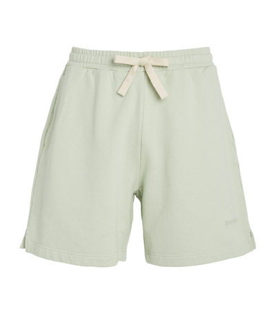 Palm Angels Cotton Embroidered Logo Shorts In Green
