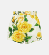 Dolce & Gabbana Floral-print Cotton-poplin Shorts In Rose Gialle Fdo Bco