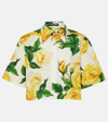 Dolce & Gabbana Yellow Rose Floral Cropped Button-front Shirt In Rose Gialle Fdo Bco