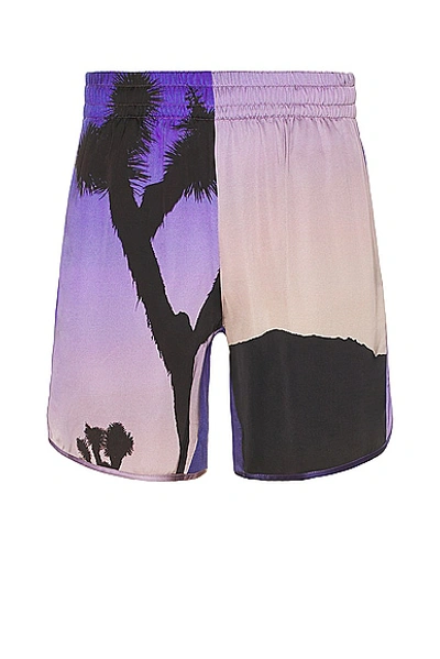 Blue Sky Inn Volcanic Shorts In Purple