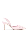 Manolo Blahnik Maysli Suede Buckle Halter Pumps In Pink