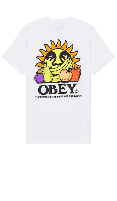 Obey The Future Is The Fruits Of Our Labor Tee In 白色