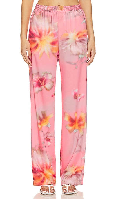 Msgm Hose In Salmon Pink