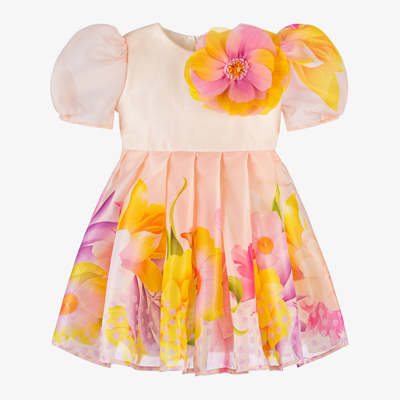 Eirene Kids'  Girls Pink Floral Organza Dress