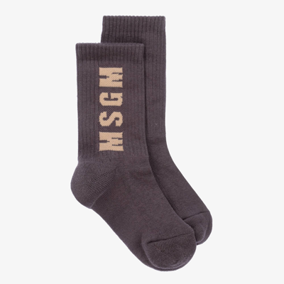 Msgm Kids' Cotton Blend Knit Socks In Taupe