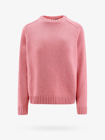 Loro Piana Sweater In Pink
