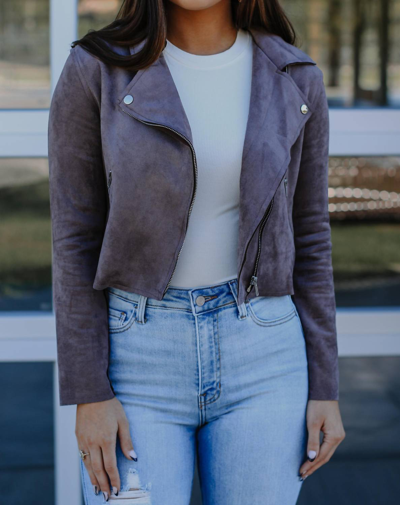 Hyfve All Or Nothing Moto Jacket In Taupe In Grey