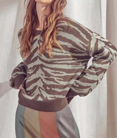 Storia Zebra Knit Sweater In Brown
