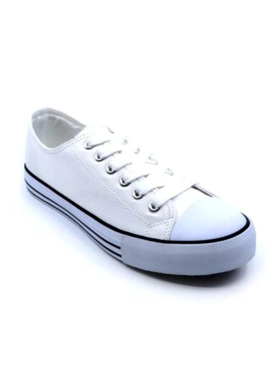 Everglades Loca 3 Sneakers In White