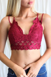 Anemone Luxe Lace Bralettes In Burgundy In White