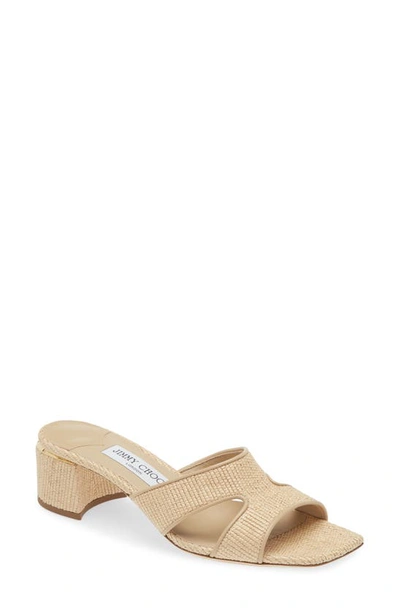 Jimmy Choo Ellison Slide Sandal In Desert