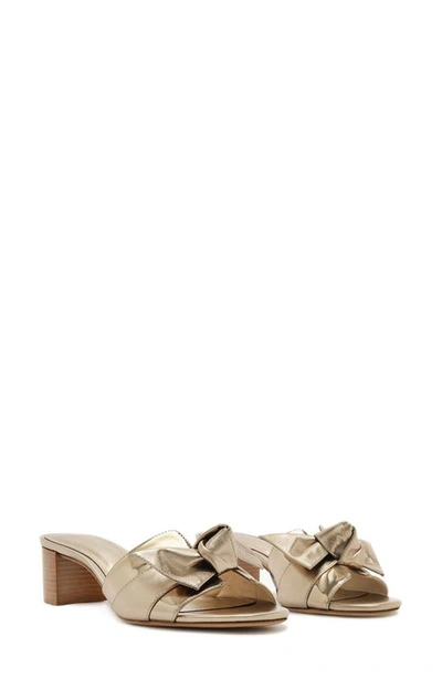 Alexandre Birman Maxi Clarita Metallic Knot Flat Sandals In Gold