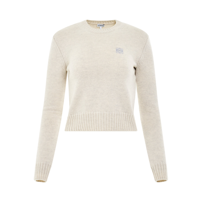 Loewe Wool Sweater In Grey