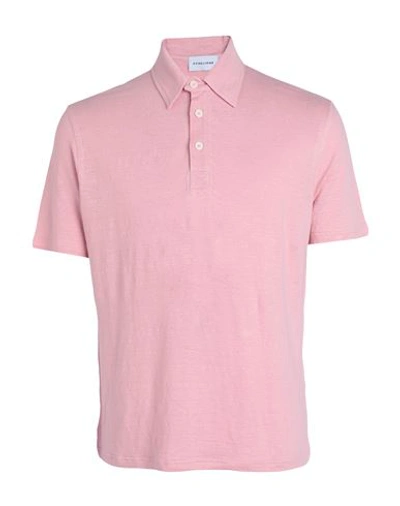 Scaglione Man Polo Shirt Pink Size M Linen, Elastane