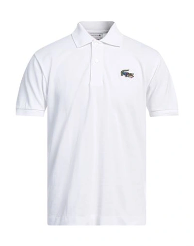 Lacoste Man Polo Shirt White Size 6 Organic Cotton