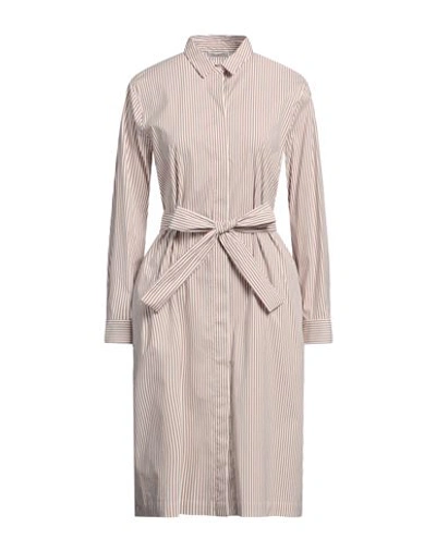 Cappellini By Peserico Woman Midi Dress Light Brown Size 8 Cotton, Polyamide, Elastane In Beige