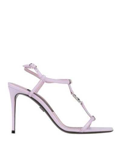 Dolce & Gabbana Woman Sandals Lilac Size 6.5 Leather In Purple