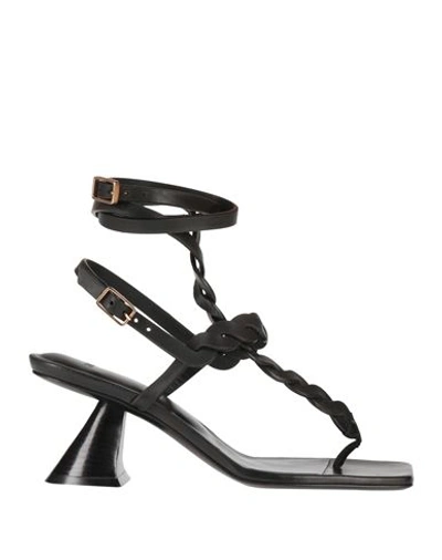 Hazy Toe Strap Sandals In Black