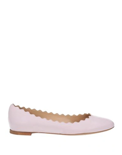 Chloé Woman Ballet Flats Lilac Size 4 Leather In Purple