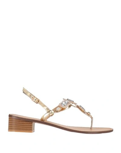Gai Mattiolo Woman Thong Sandal Gold Size 8 Textile Fibers