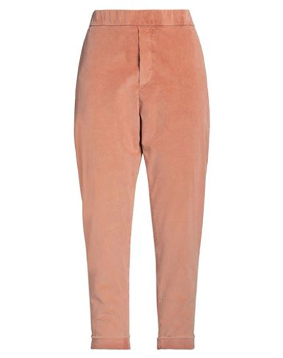 Mason's Woman Pants Salmon Pink Size 10 Cotton, Pes - Polyethersulfone, Elastane