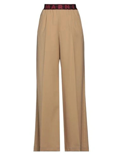 Marni Woman Pants Camel Size 6 Virgin Wool In Beige