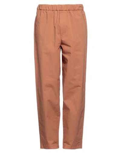 Alpha Studio Man Pants Brown Size 36 Cotton, Elastane