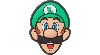 Jibbitz Super Mario™ Luigi™