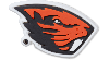 Jibbitz Oregon State