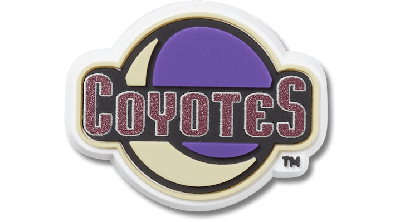 Jibbitz Nhl® Arizona Coyotes® In Purple