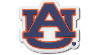 Jibbitz Auburn University