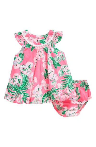 Lilly Pulitzer Babies' Paloma Floral Bubble Dress & Bloomers In Roxie Pink Worth A Look