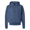 Hanes Ecosmart Hooded Sweatshirt In Multi