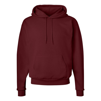 Hanes Ecosmart Hooded Sweatshirt In Multi